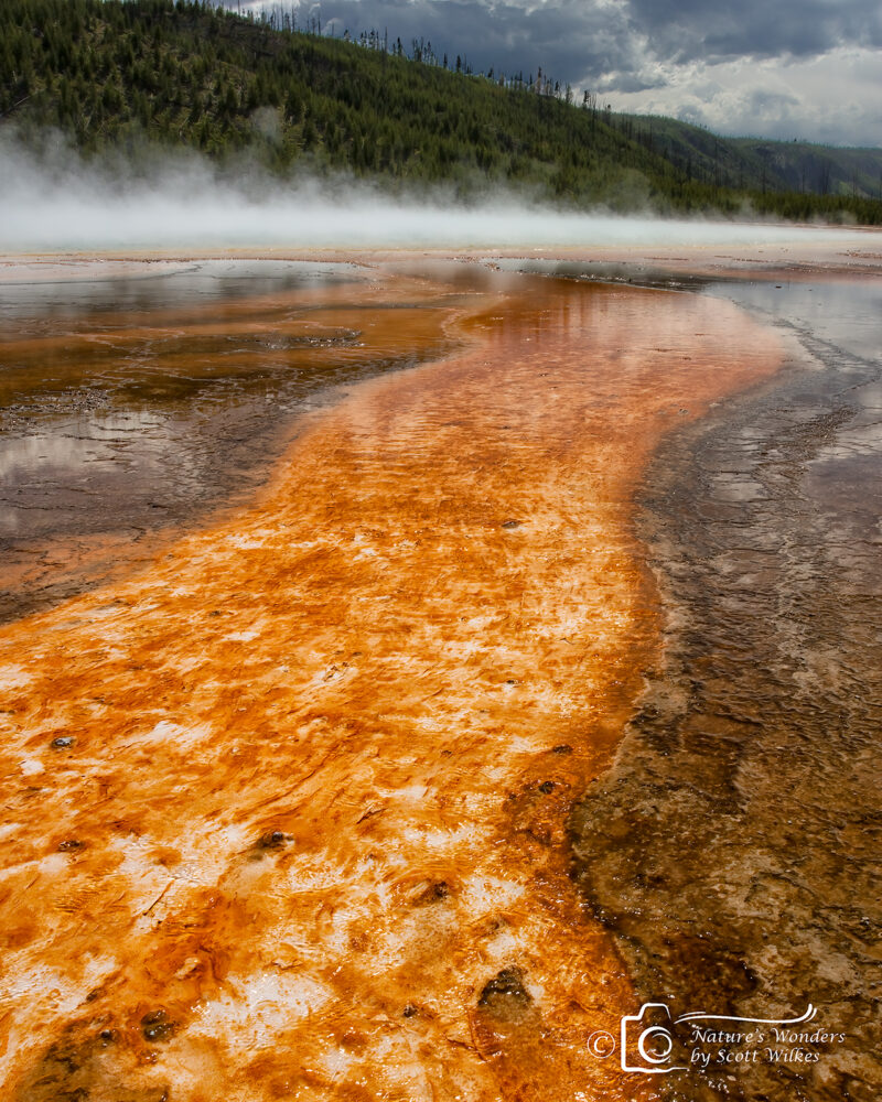 The Colors Of The Grand Prismatic Mat